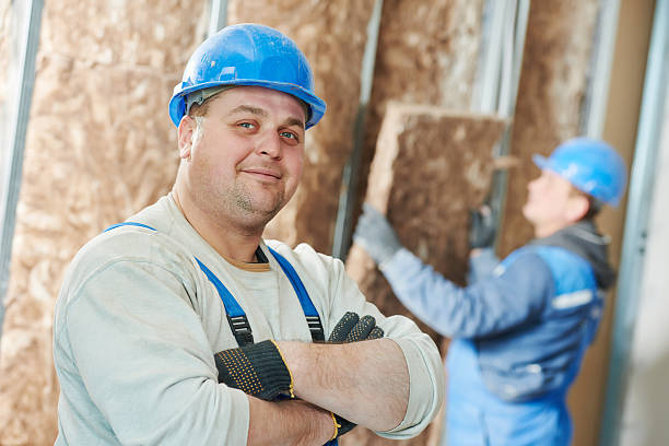 Best Residential Insulation in Hillsboro, ND