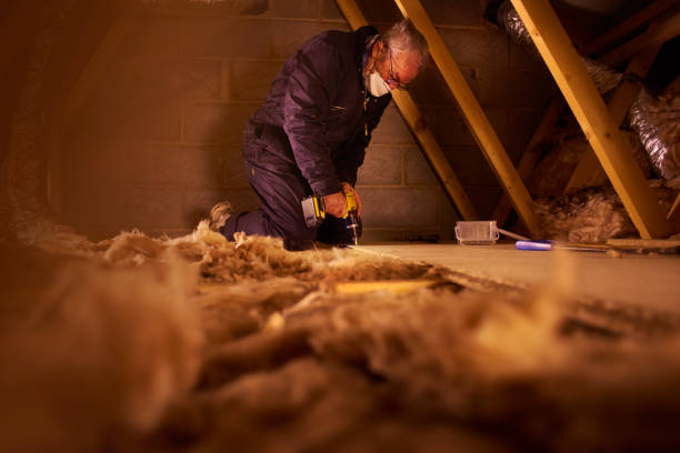 Best Residential Insulation in Hillsboro, ND