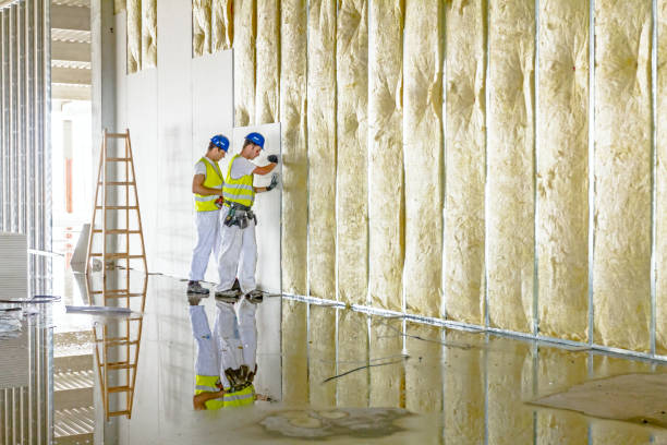 Best Types of Insulation in Hillsboro, ND